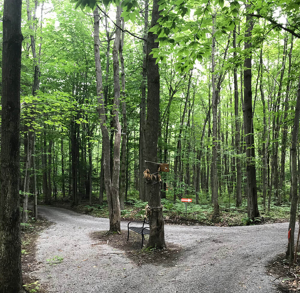 Saint-Mathieu-de-Beloeil – s/primoimmo/sg/Condo-luxueux-Saint-Mathieu-de-Beloeil-16.jpg